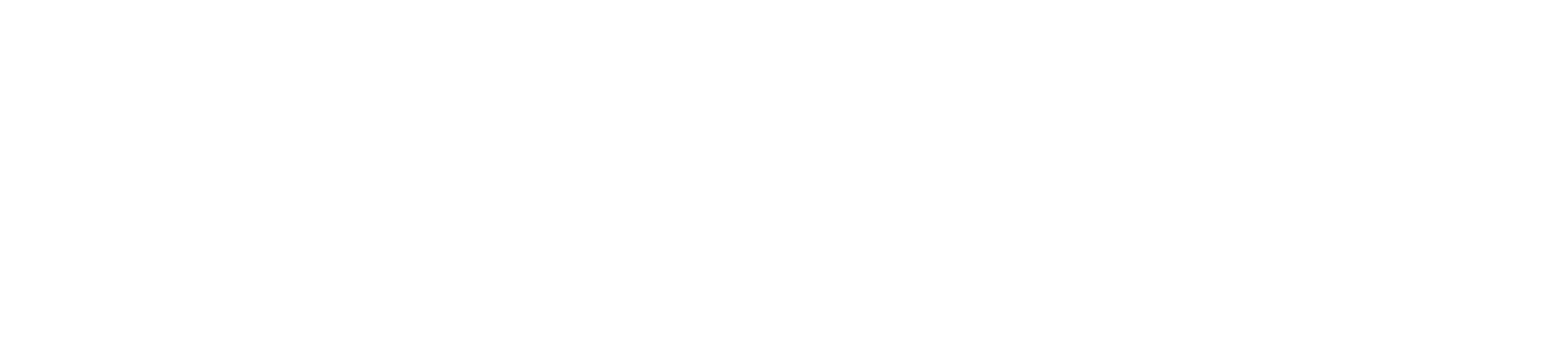 Eleven 11 Consulting
